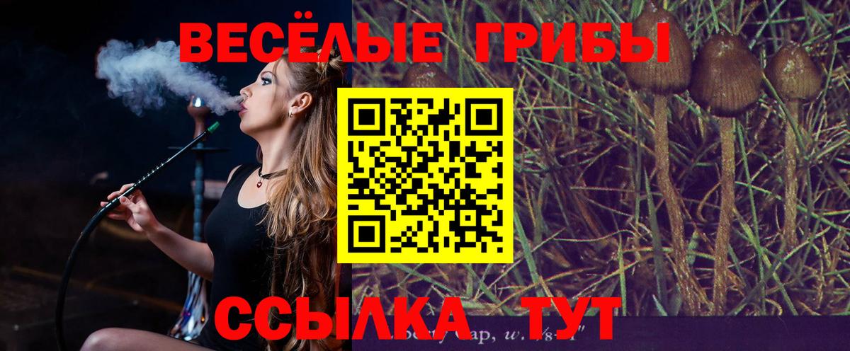 наркотики  Вход с VPN  Псилоцибиновые грибы мицелий  Канаш  Псилоцибиновые грибы GOLDEN TEACHER 