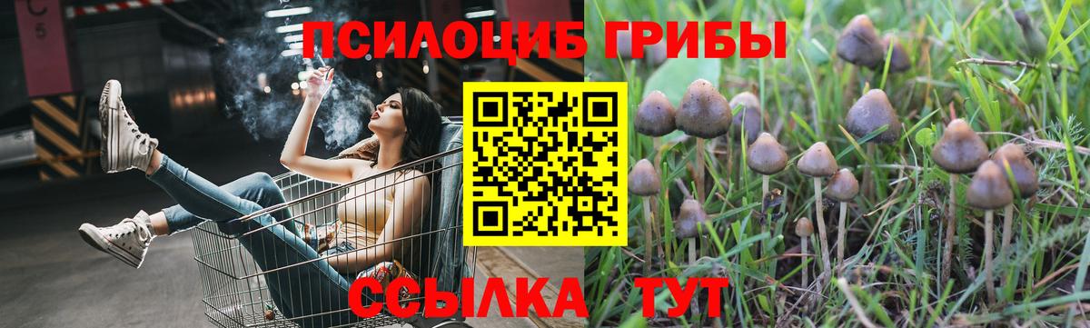 Псилоцибиновые грибы Magic Shrooms Канаш